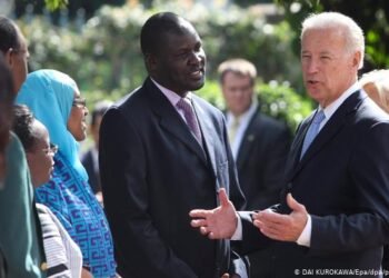 Image de couverture de l'article