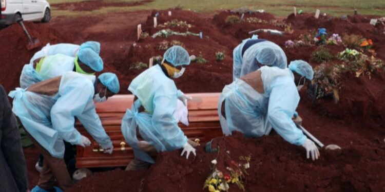 Afrique du Sud - COVID 19