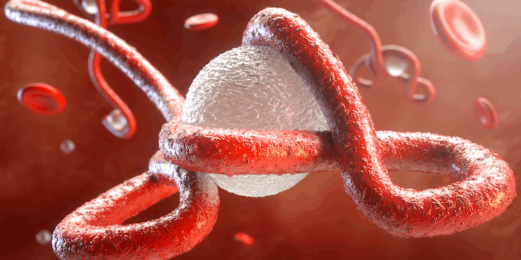 Une nouvelle épidémie d’Ebola détectée en Guinée