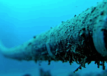 TECH: Le Bénin approuve le branchement au câble sous-marin 2AFRICA